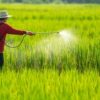 Thuốc diệt cỏ sinh học – giải pháp kiểm soát cỏ dại hiệu quả, an toàn